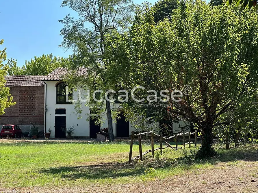 Immagine 3 di Casa colonica in vendita  a Pisa