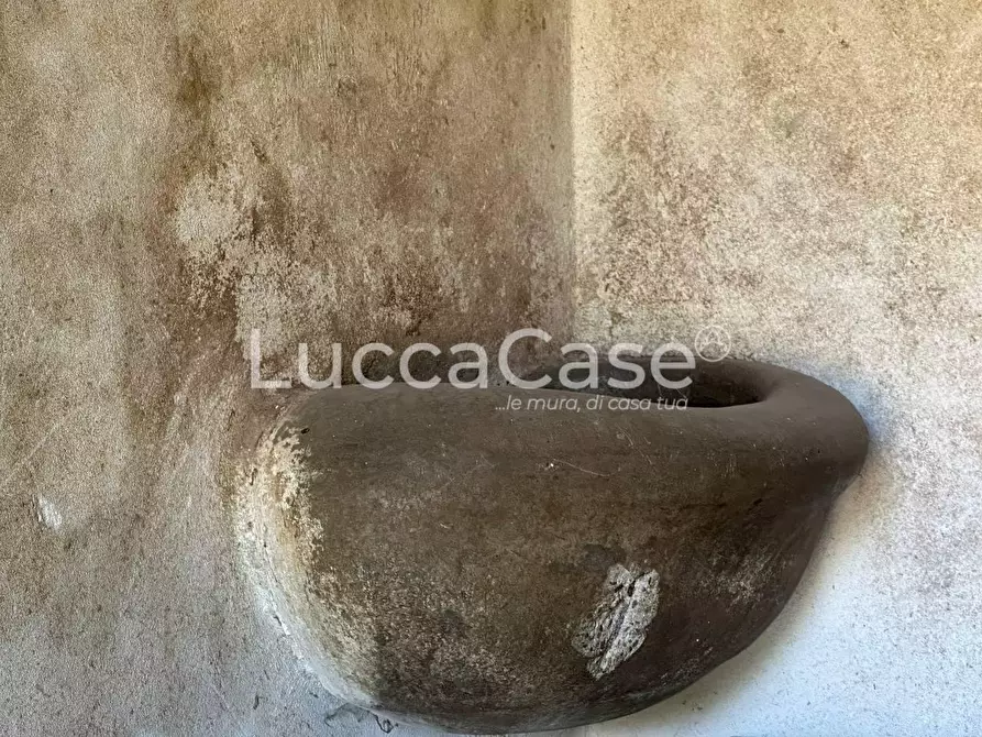 Immagine 7 di Casa colonica in vendita  a Pisa