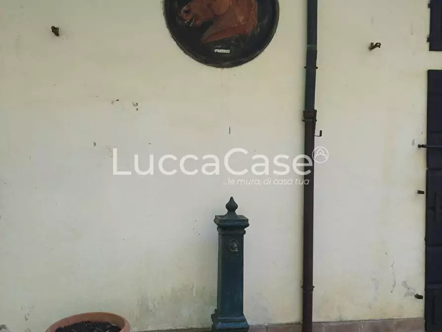 Immagine 47 di Casa colonica in vendita  a Pisa