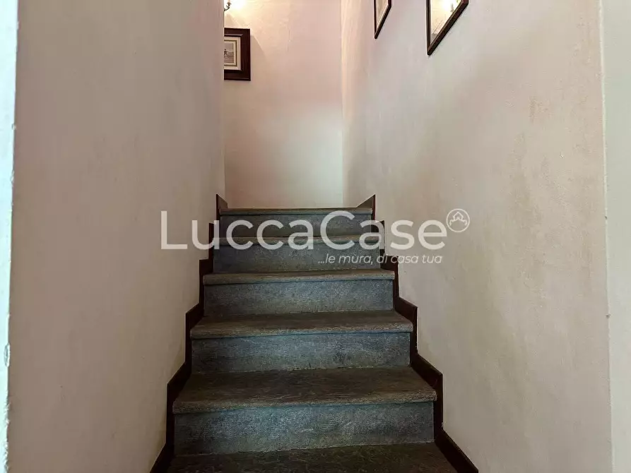 Immagine 15 di Casa colonica in vendita  a Pisa