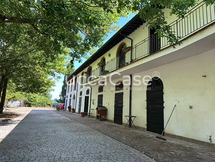 Immagine 1 di Casa colonica in vendita  a Pisa