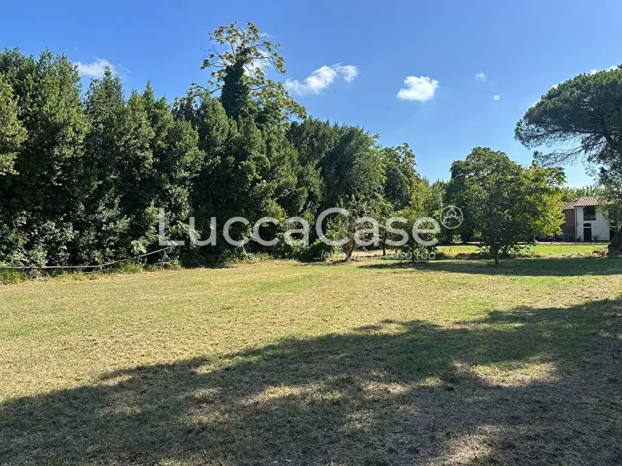 Immagine 10 di Casa colonica in vendita  a Pisa