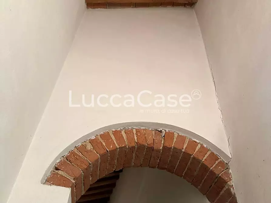 Immagine 40 di Casa colonica in vendita  a Pisa