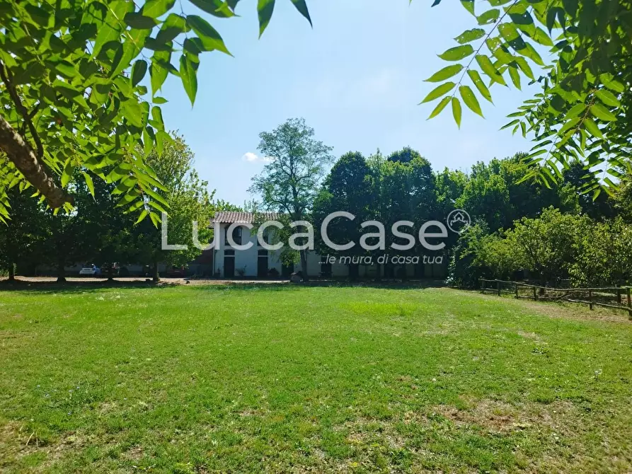 Immagine 4 di Casa colonica in vendita  a Pisa