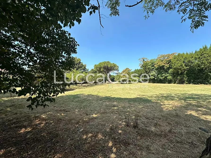 Immagine 6 di Casa colonica in vendita  a Pisa