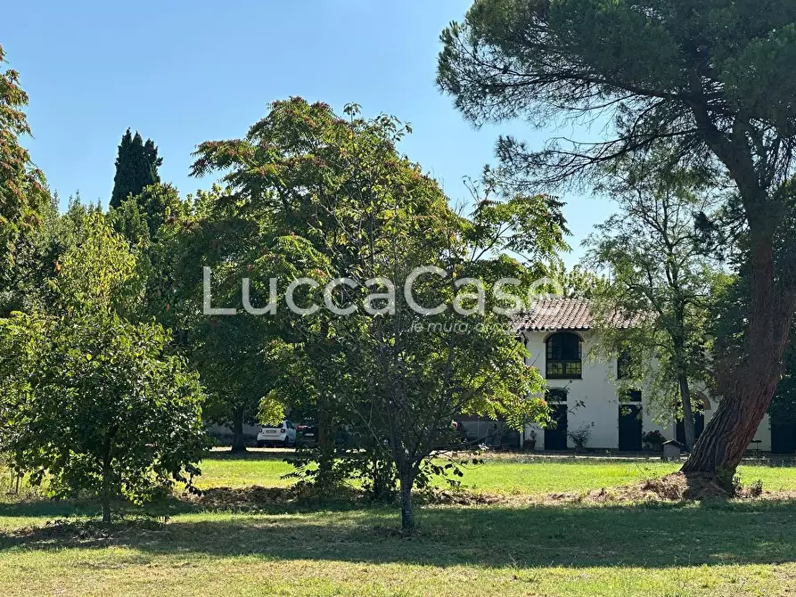 Immagine 11 di Casa colonica in vendita  a Pisa