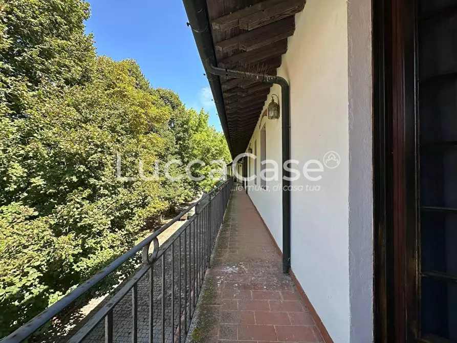 Immagine 8 di Casa colonica in vendita  a Pisa