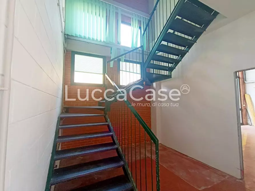 Immagine 14 di Attività artigianale in vendita  a Massarosa