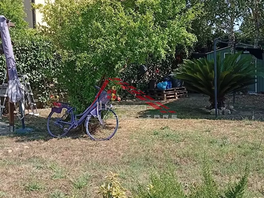 Immagine 22 di Appartamento in vendita  a Collesalvetti