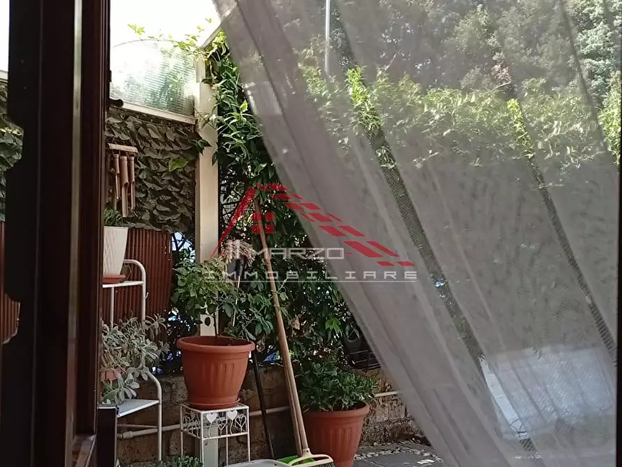 Immagine 6 di Appartamento in vendita  a Collesalvetti