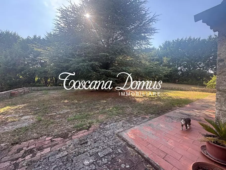 Immagine 15 di Casa colonica in vendita  a Monteriggioni