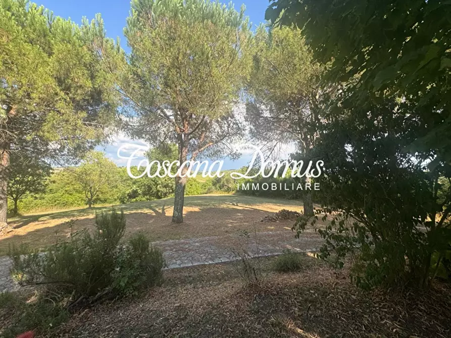 Immagine 18 di Casa colonica in vendita  a Monteriggioni