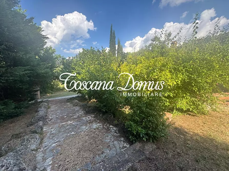 Immagine 11 di Casa colonica in vendita  a Monteriggioni