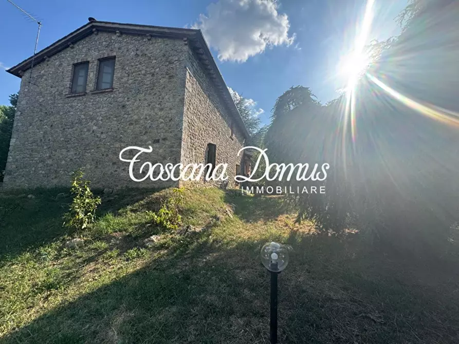 Immagine 4 di Casa colonica in vendita  a Monteriggioni