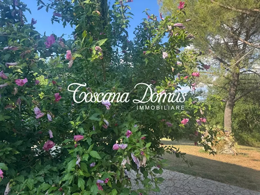 Immagine 12 di Casa colonica in vendita  a Monteriggioni