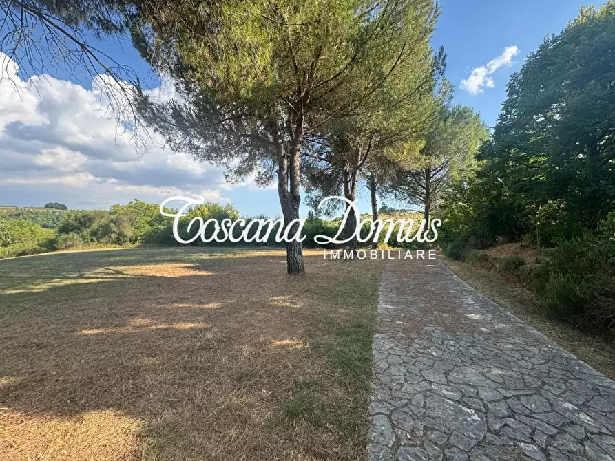 Immagine 54 di Casa colonica in vendita  a Monteriggioni