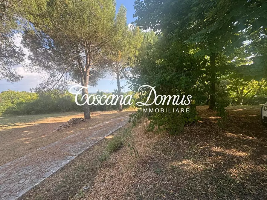 Immagine 14 di Casa colonica in vendita  a Monteriggioni