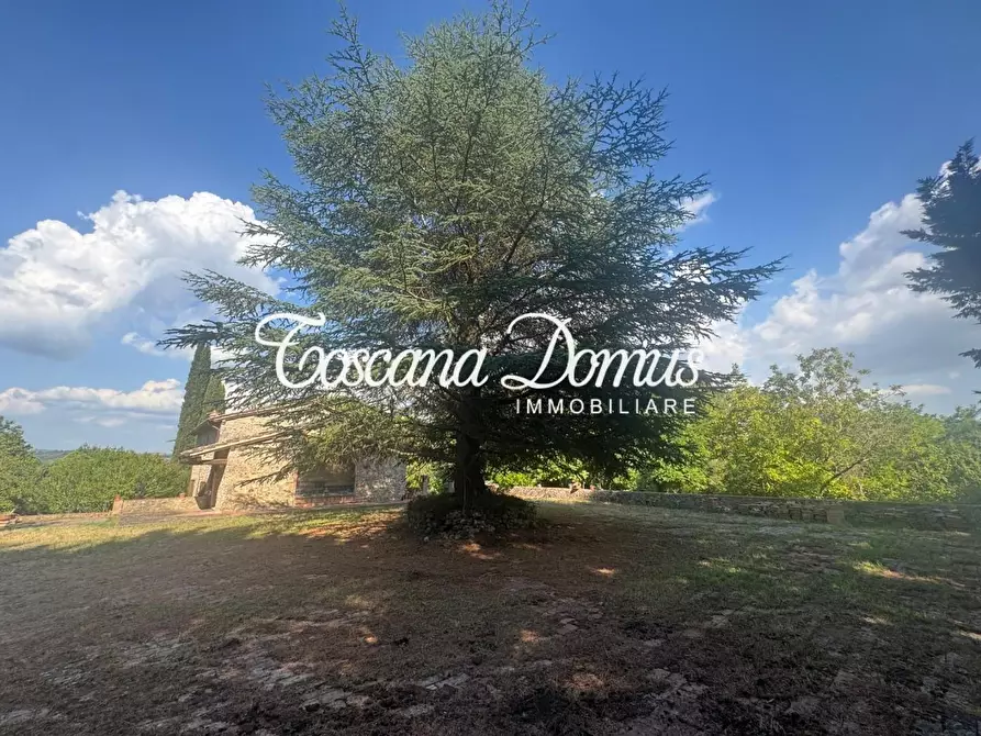 Immagine 16 di Casa colonica in vendita  a Monteriggioni