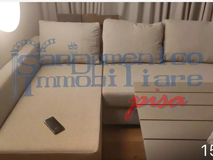 Immagine 3 di Villa in affitto  a Pisa