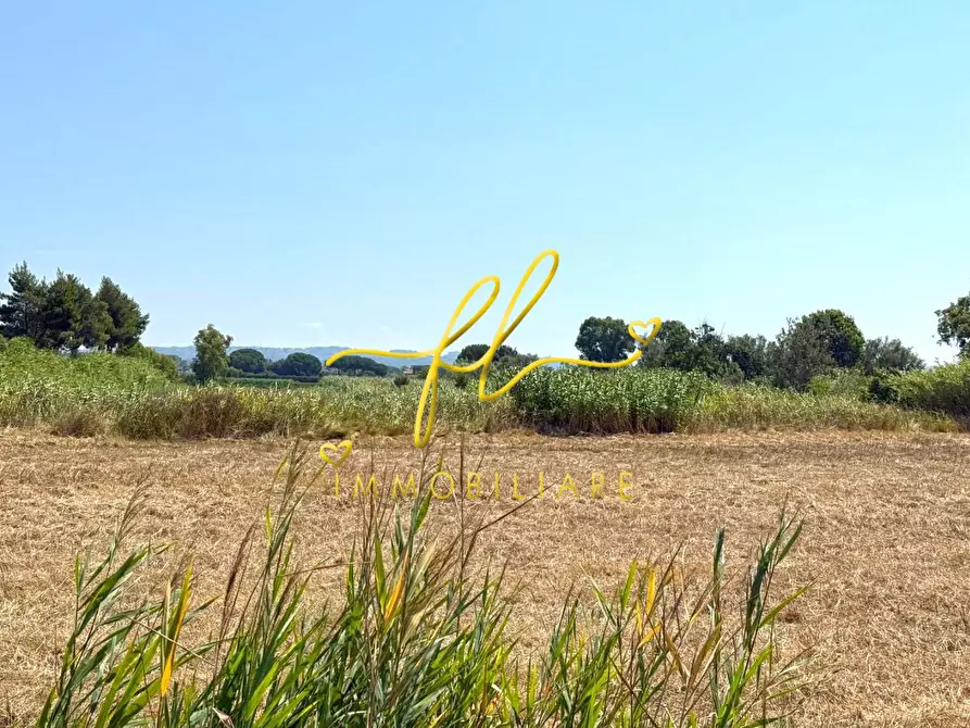 terreno agricolo in vendita a Cecina