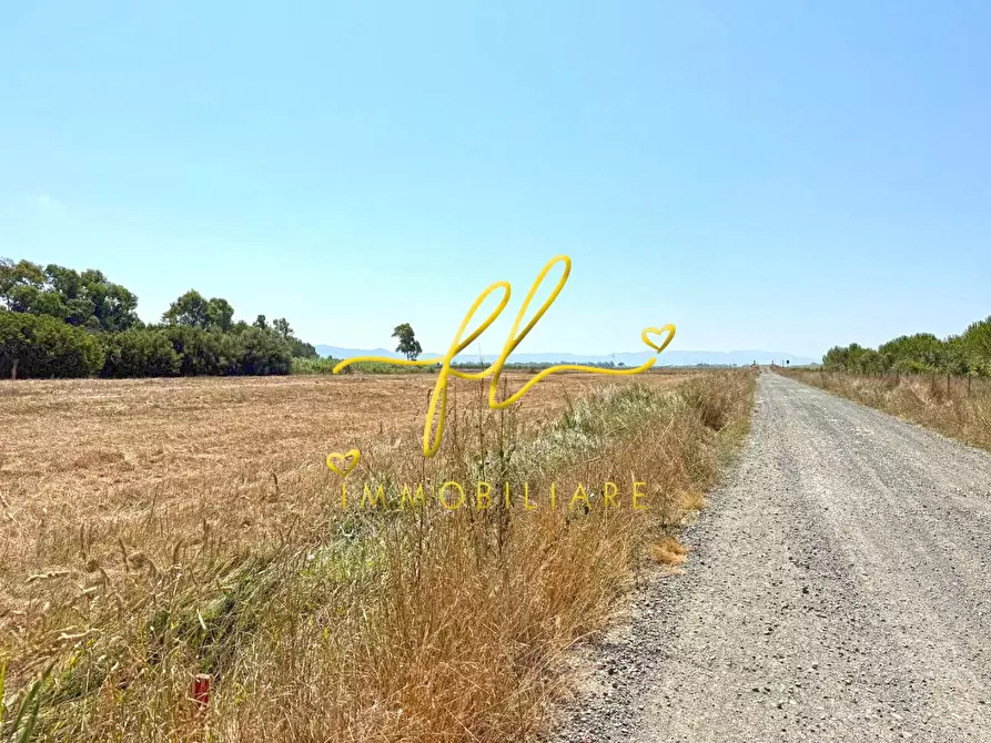 Immagine 2 di Terreno agricolo in vendita  a Cecina