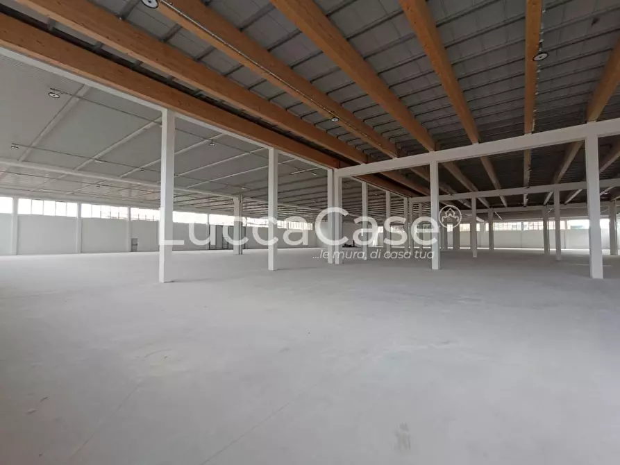 Immagine 11 di Capannone industriale in affitto  a Porcari