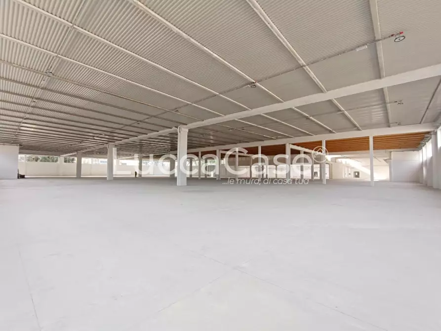 Immagine 9 di Capannone industriale in affitto  a Porcari