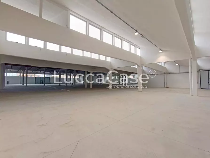 Immagine 3 di Capannone industriale in affitto  a Porcari