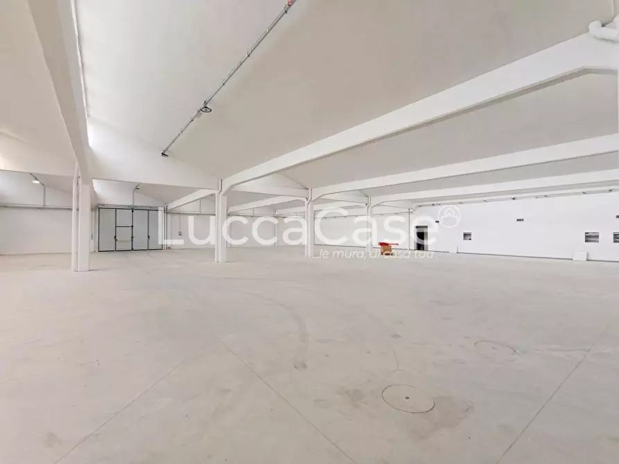 Immagine 4 di Capannone industriale in affitto  a Porcari