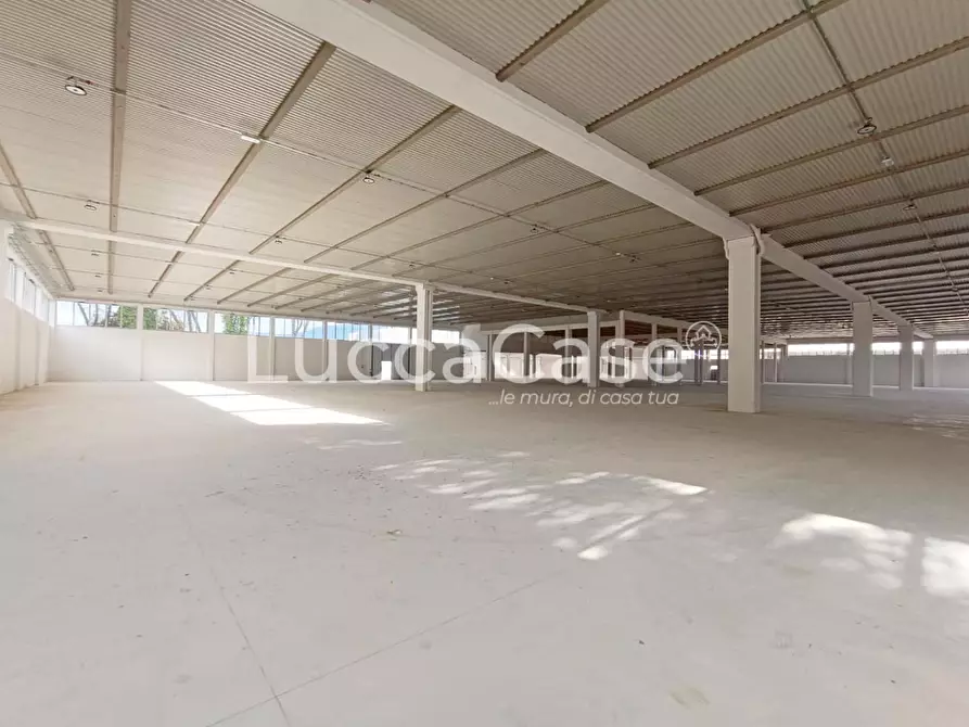 Immagine 18 di Capannone industriale in affitto  a Porcari
