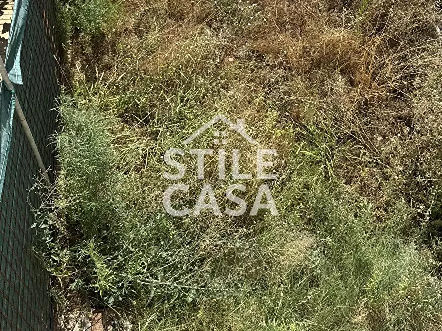 Immagine 18 di Terratetto in vendita  a Altopascio