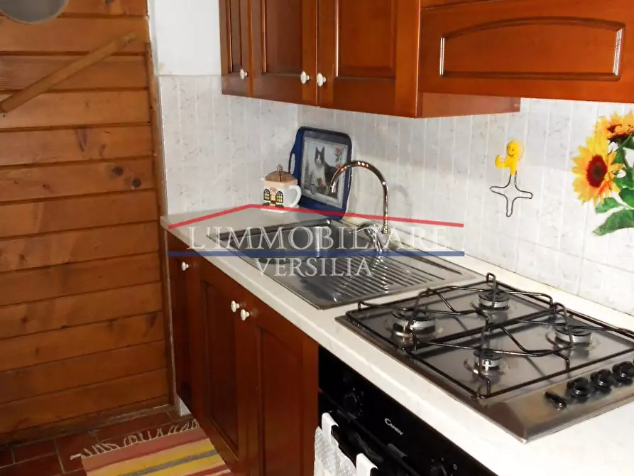 Immagine 41 di Casa bifamiliare in vendita  a Montignoso