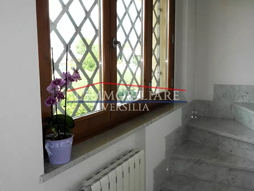 Immagine 31 di Appartamento in vendita  a Massa