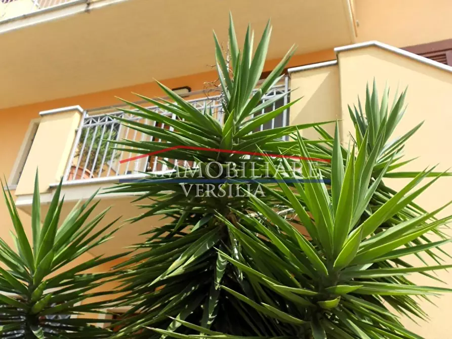 Immagine 57 di Appartamento in vendita  a Massa