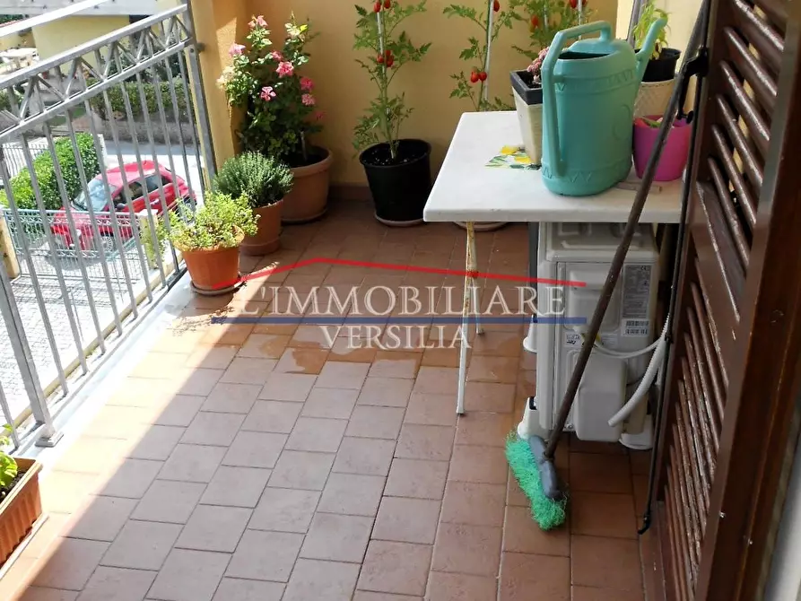 Immagine 42 di Appartamento in vendita  a Massa