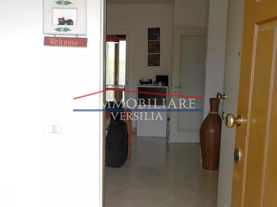 Immagine 56 di Appartamento in vendita  a Massa