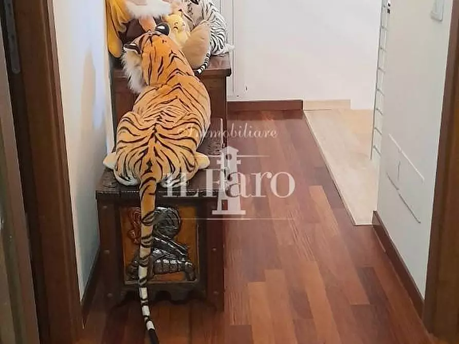 Immagine 24 di Terratetto in vendita  a Carmignano