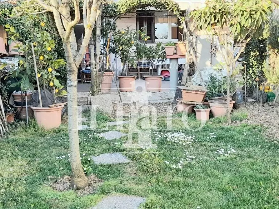 Immagine 6 di Terratetto in vendita  a Carmignano