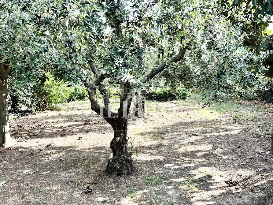 Immagine 17 di Villa in vendita  a Campi Bisenzio