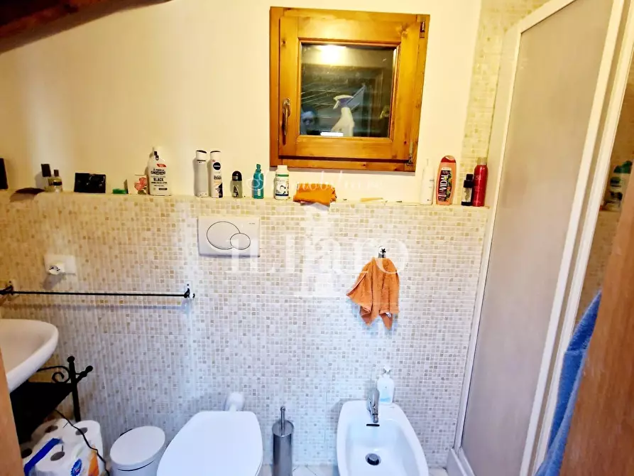 Immagine 21 di Terratetto in vendita  a Signa