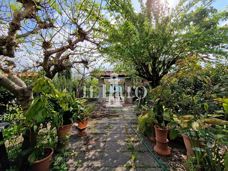 Immagine 3 di Villetta a schiera in vendita  a Campi Bisenzio