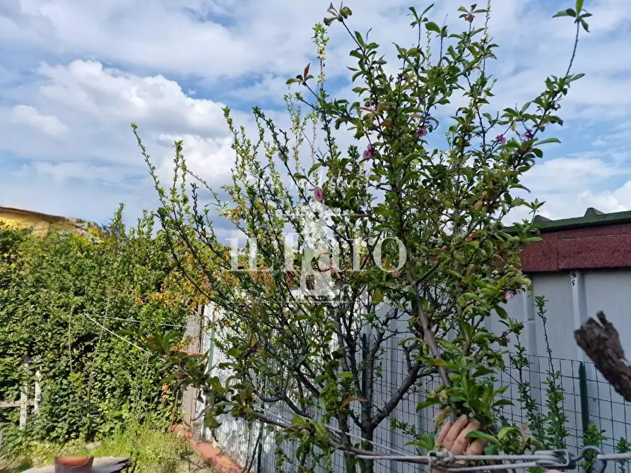 Immagine 4 di Villetta a schiera in vendita  a Campi Bisenzio