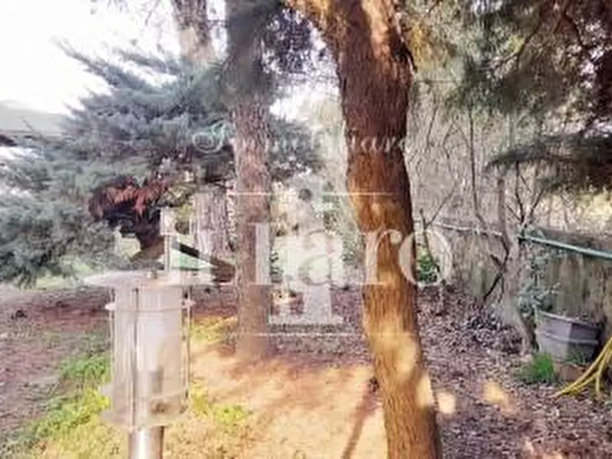 Immagine 7 di Villa in vendita  a Campi Bisenzio