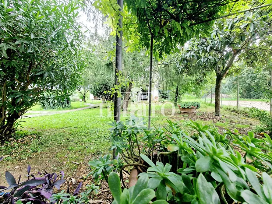 Immagine 4 di Porzione di casa in vendita  a Campi Bisenzio