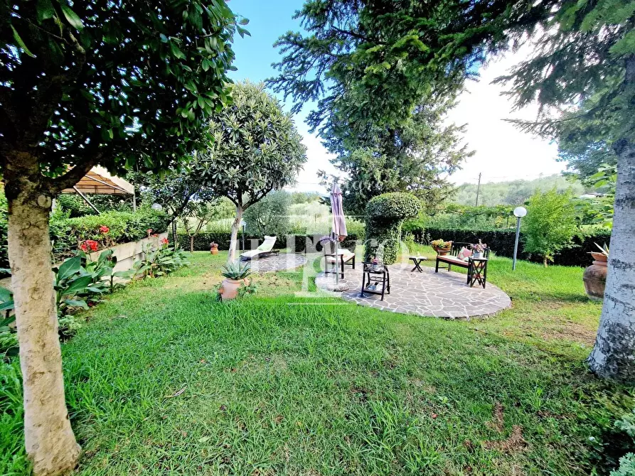 Immagine 2 di Porzione di casa in vendita  a Signa