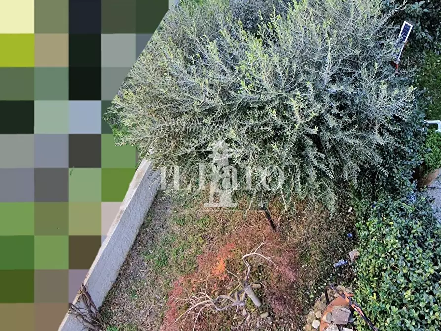 appartamento in vendita a Signa