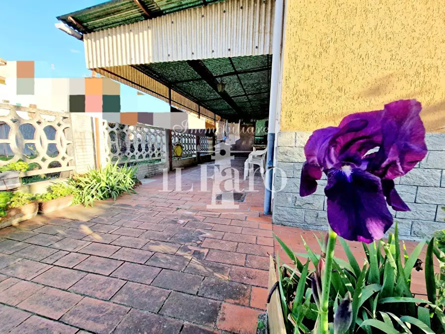 Immagine 1 di Terratetto in vendita  a Campi Bisenzio