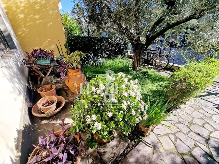 Immagine 6 di Terratetto in vendita  a Campi Bisenzio