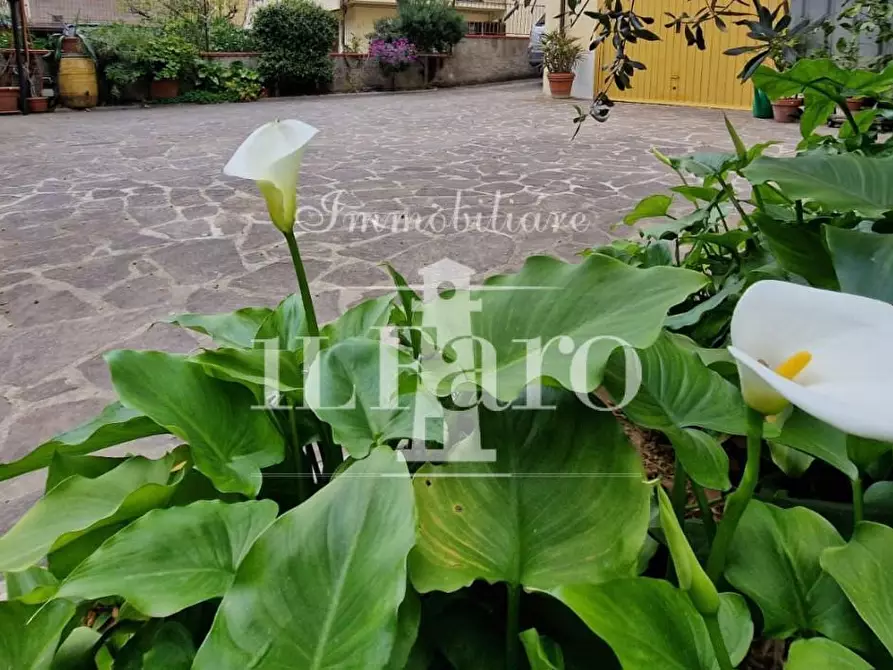 Immagine 5 di Terratetto in vendita  a Calenzano