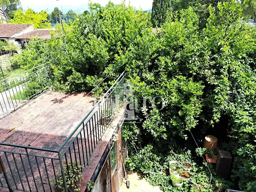 Immagine 6 di Terratetto in vendita  a Campi Bisenzio